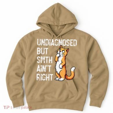 Undiagnosed But Something AinT Right Funny Cat Saying Meme Hoodie