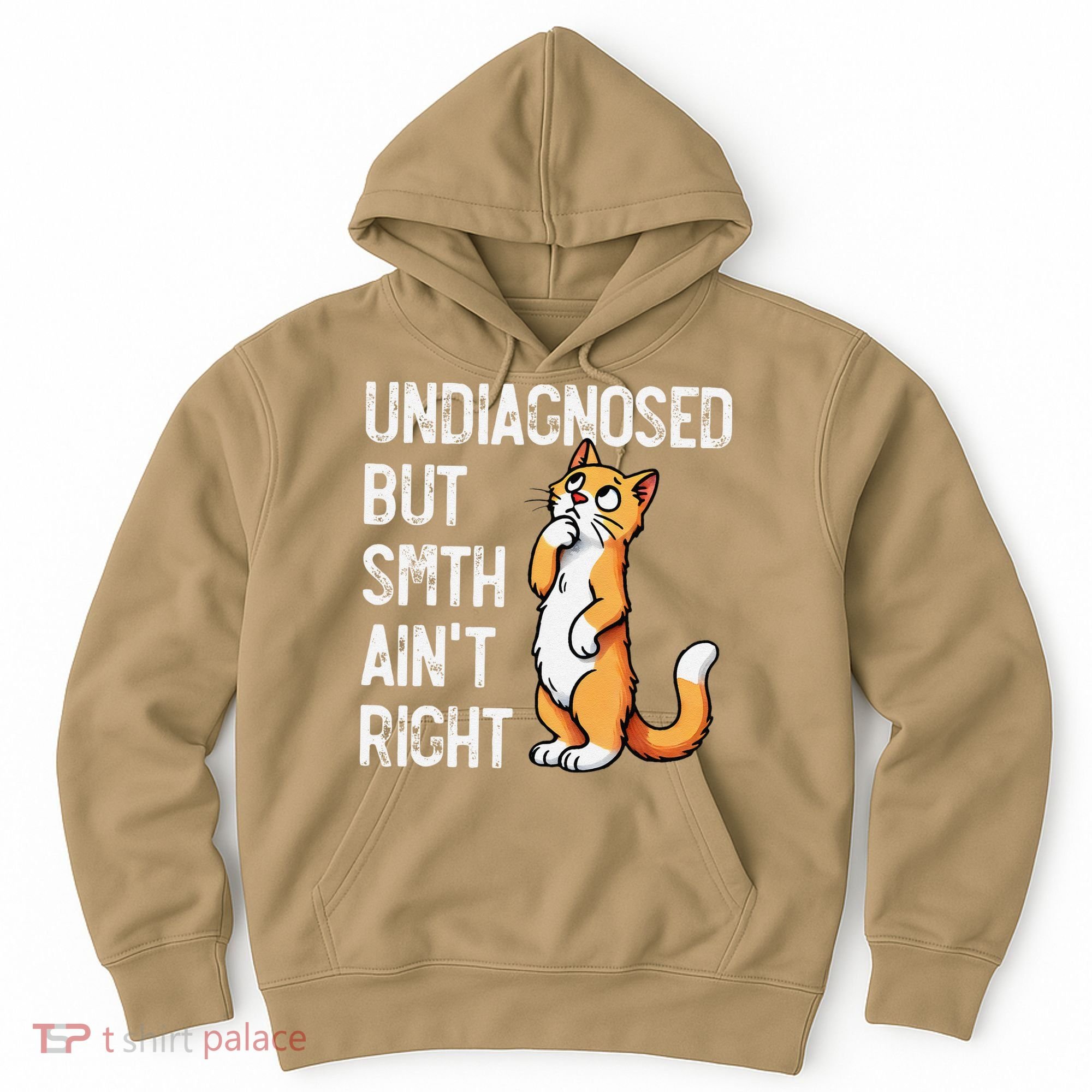 Undiagnosed But Something AinT Right Funny Cat Saying Meme Hoodie