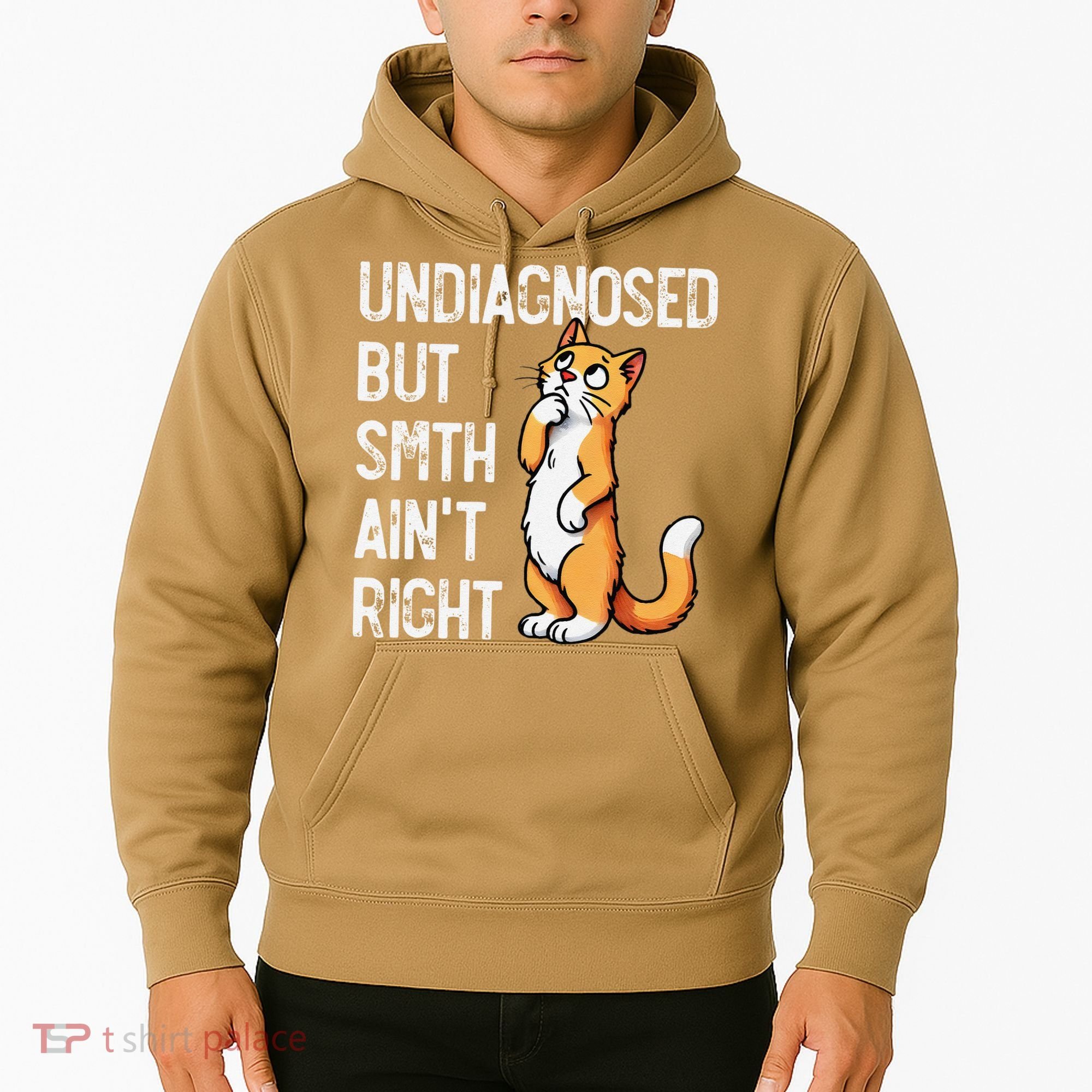 Undiagnosed But Something AinT Right Funny Cat Saying Meme Hoodie
