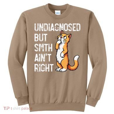 Undiagnosed But Something AinT Right Funny Cat Saying Meme Sweatshirt
