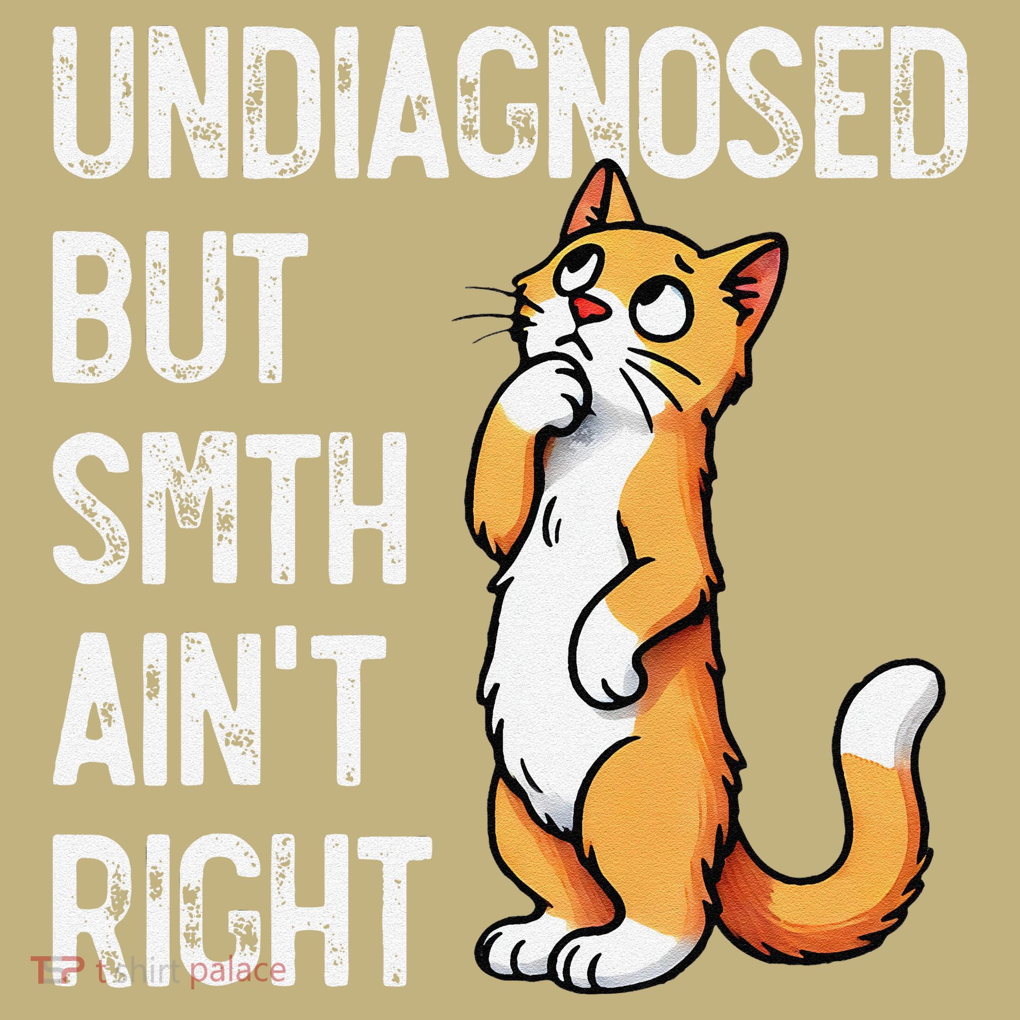 Undiagnosed But Something AinT Right Funny Cat Saying Meme Sweatshirt