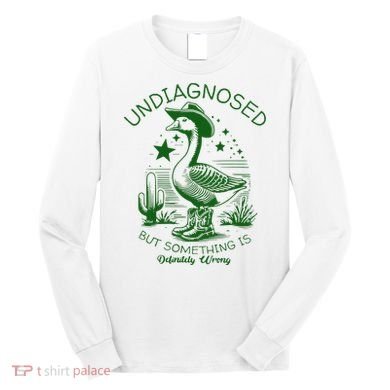 Undiagnosed But Something Is Wrong Funny Silly Goose Long Sleeve Shirt