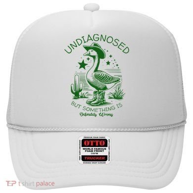Undiagnosed But Something Is Wrong Funny Silly Goose Hat