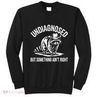Undiagnosed But Something AinT Right Cowboy Funny Raccoon Sweatshirt thumb 0