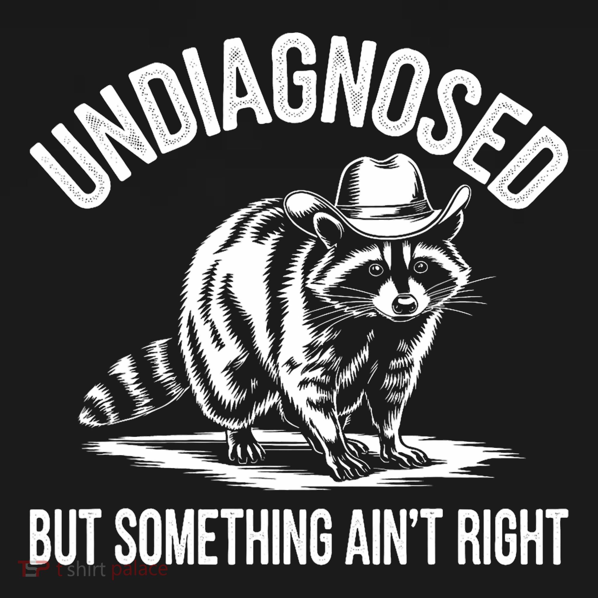 Undiagnosed But Something AinT Right Cowboy Funny Raccoon Sweatshirt