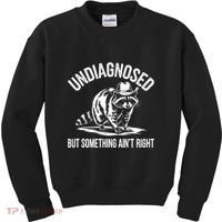 Undiagnosed But Something AinT Right Cowboy Funny Raccoon Kids Sweatshirt thumb 0