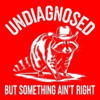 Undiagnosed But Something AinT Right Cowboy Funny Raccoon Santa Hat thumb 1