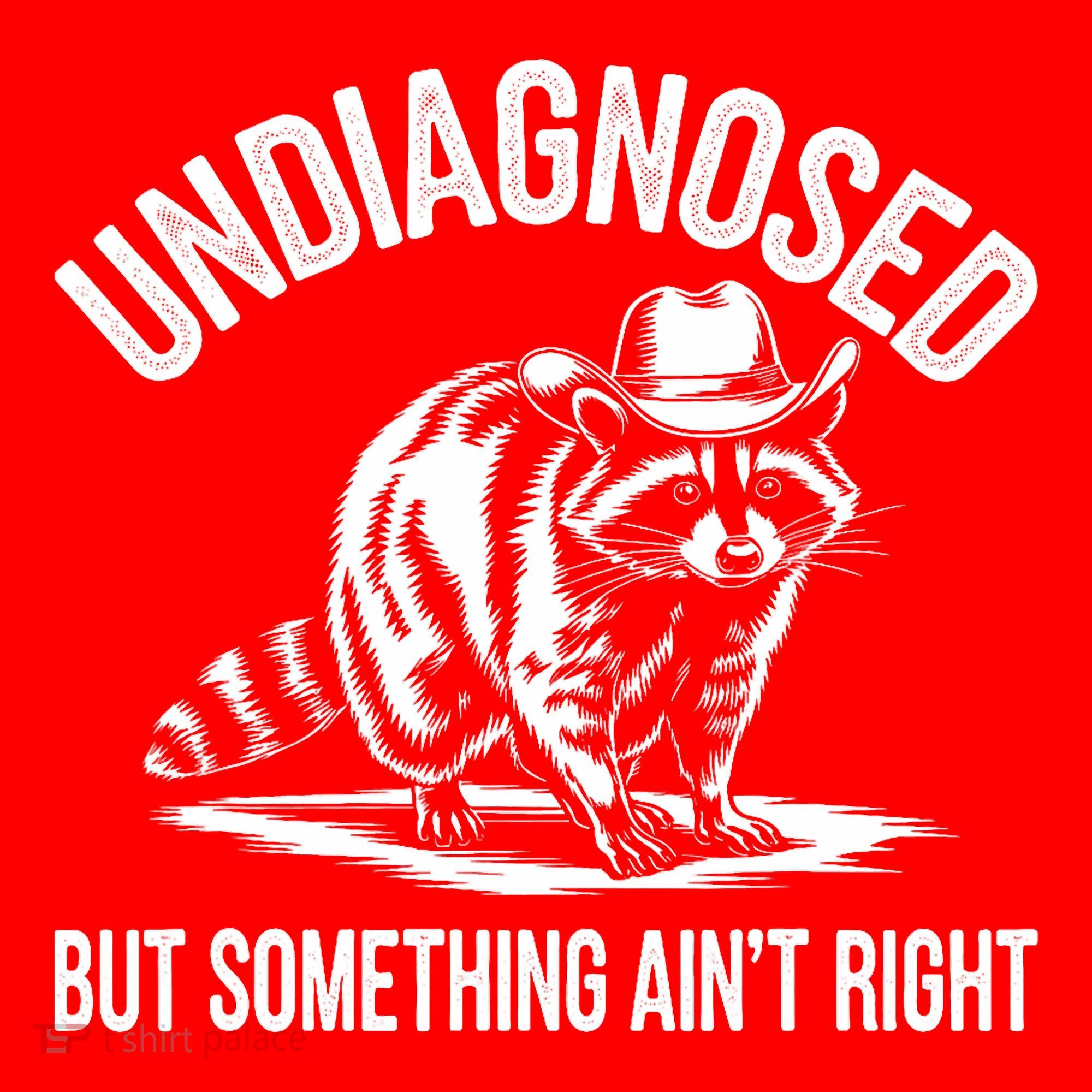 Undiagnosed But Something AinT Right Cowboy Funny Raccoon Santa Hat