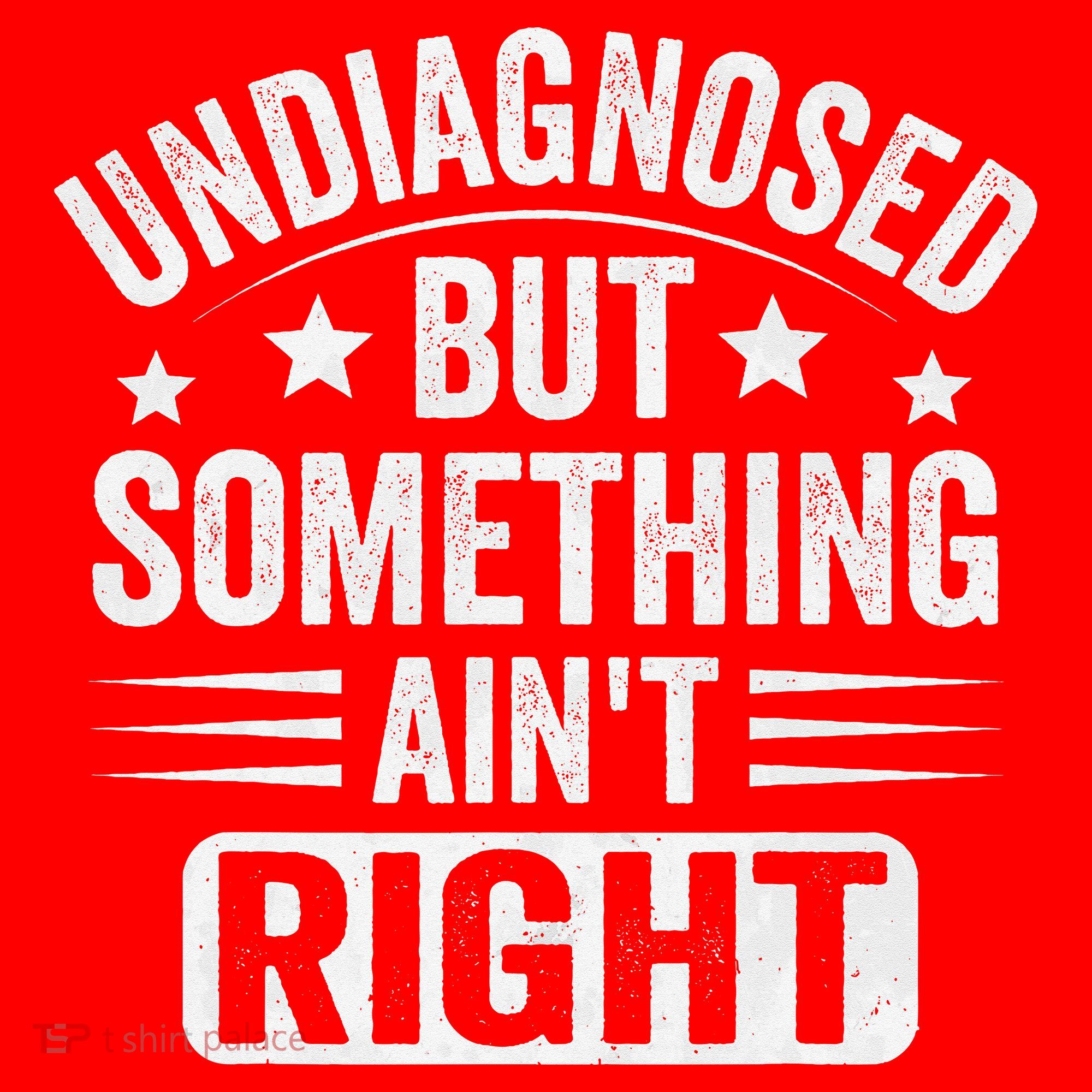 Undiagnosed But Something Aint Right Funny Sarcastic Humor Gift Santa Hat