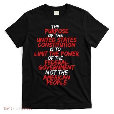 Us Constitution Gift Constitution Clarification T-Shirt