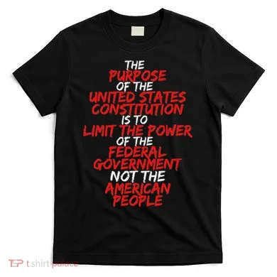 Us Constitution Gift Constitution Clarification T-Shirt