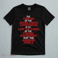 Us Constitution Gift Constitution Clarification T-Shirt thumb 5