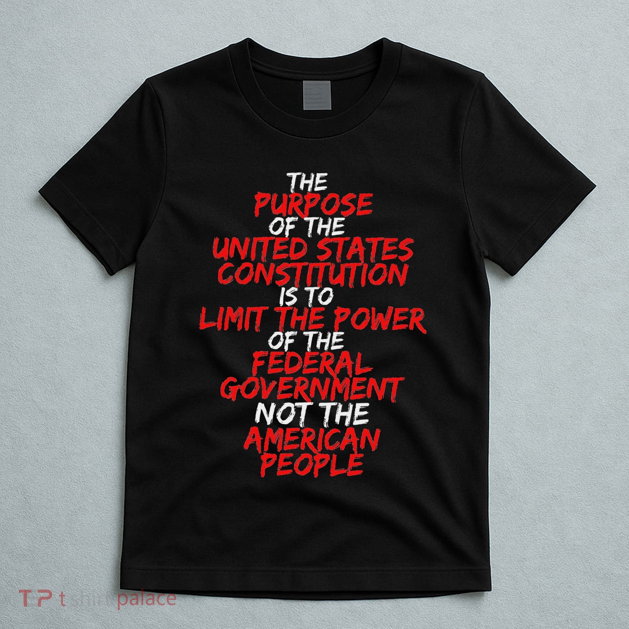 Us Constitution Gift Constitution Clarification T-Shirt