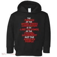 Us Constitution Gift Constitution Clarification Toddler Hoodie thumb 0