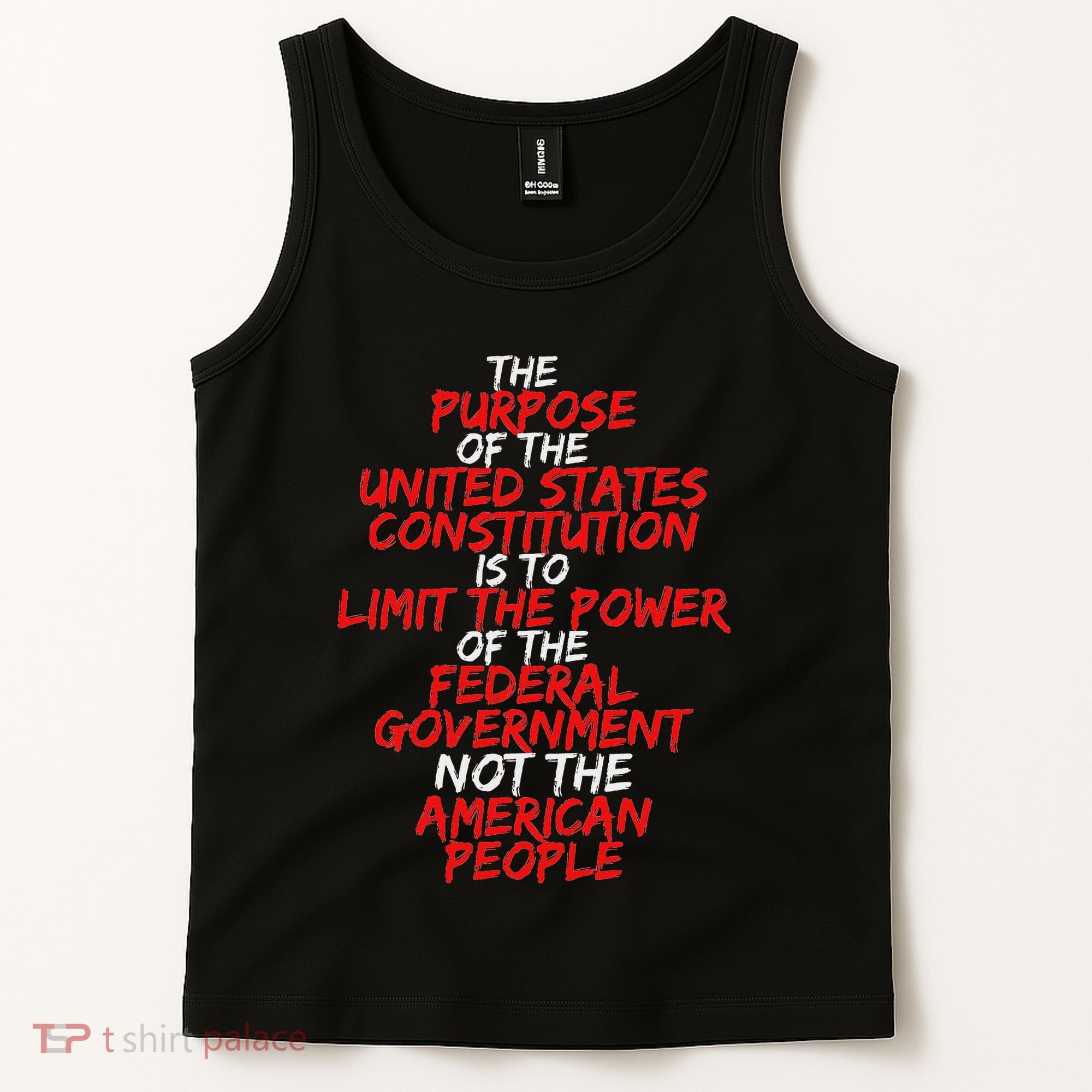 Us Constitution Gift Constitution Clarification Tank Top
