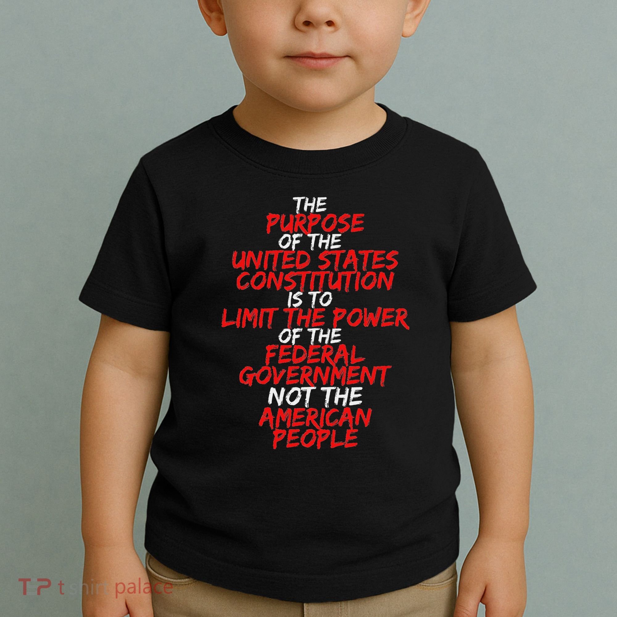 Us Constitution Gift Constitution Clarification Toddler T-Shirt