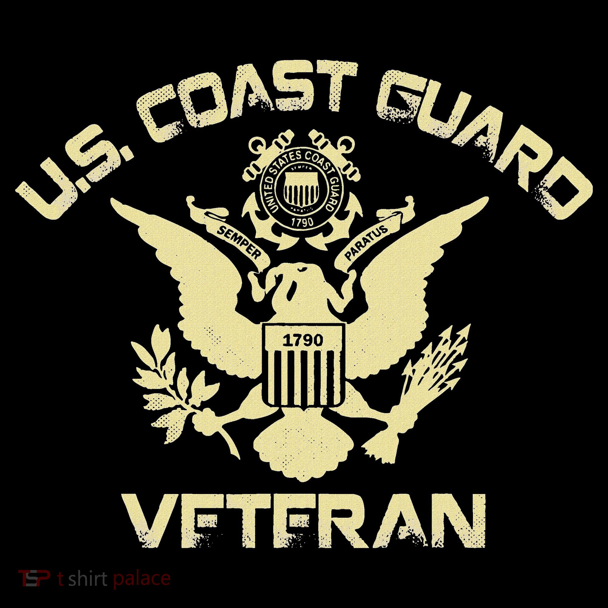 U.S. Coast Guard Veteran Eagle Vintage Veterans Day T-Shirt