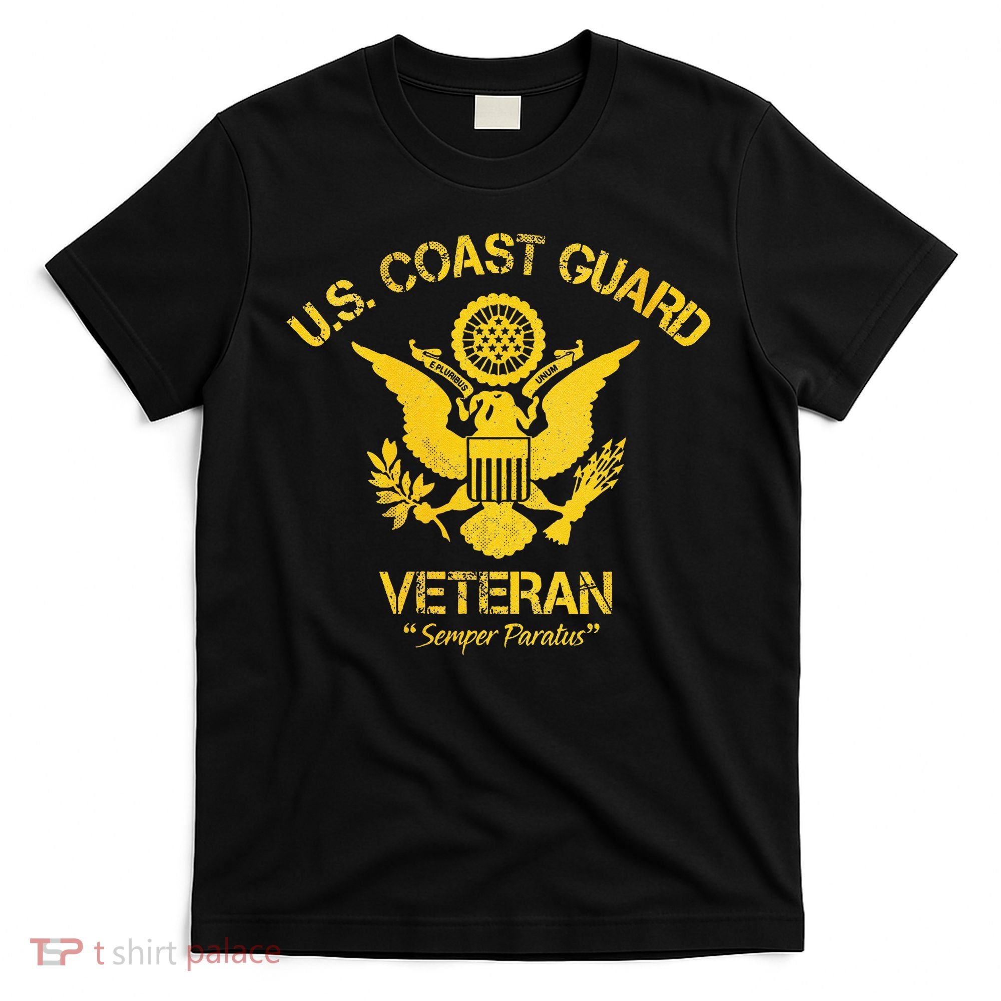 U.S. Coast Guard Veteran Eagle Vintage Veterans Day T-Shirt