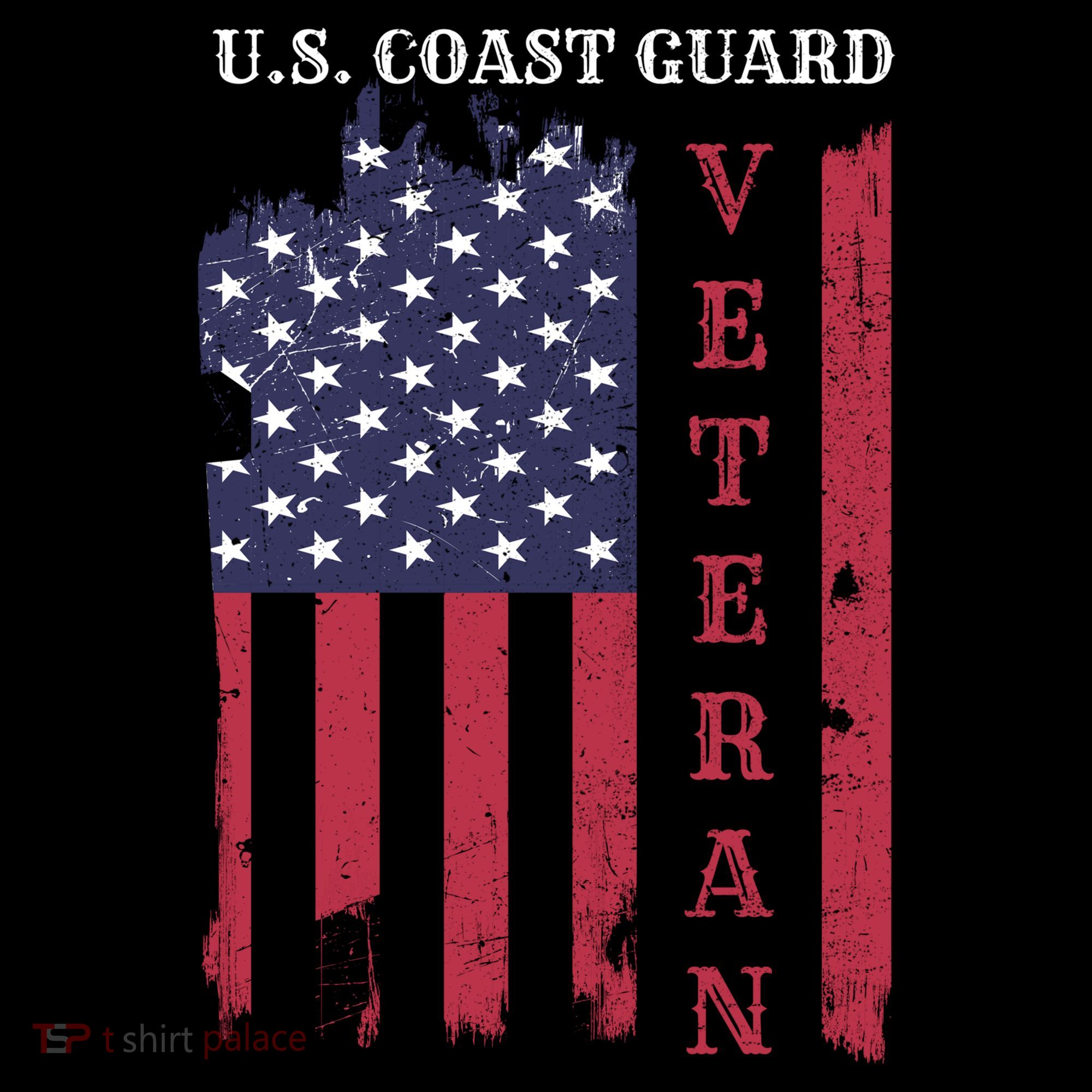 Us Coast Guard Veteran Appreciation Retiret Gift Women's Hoodie