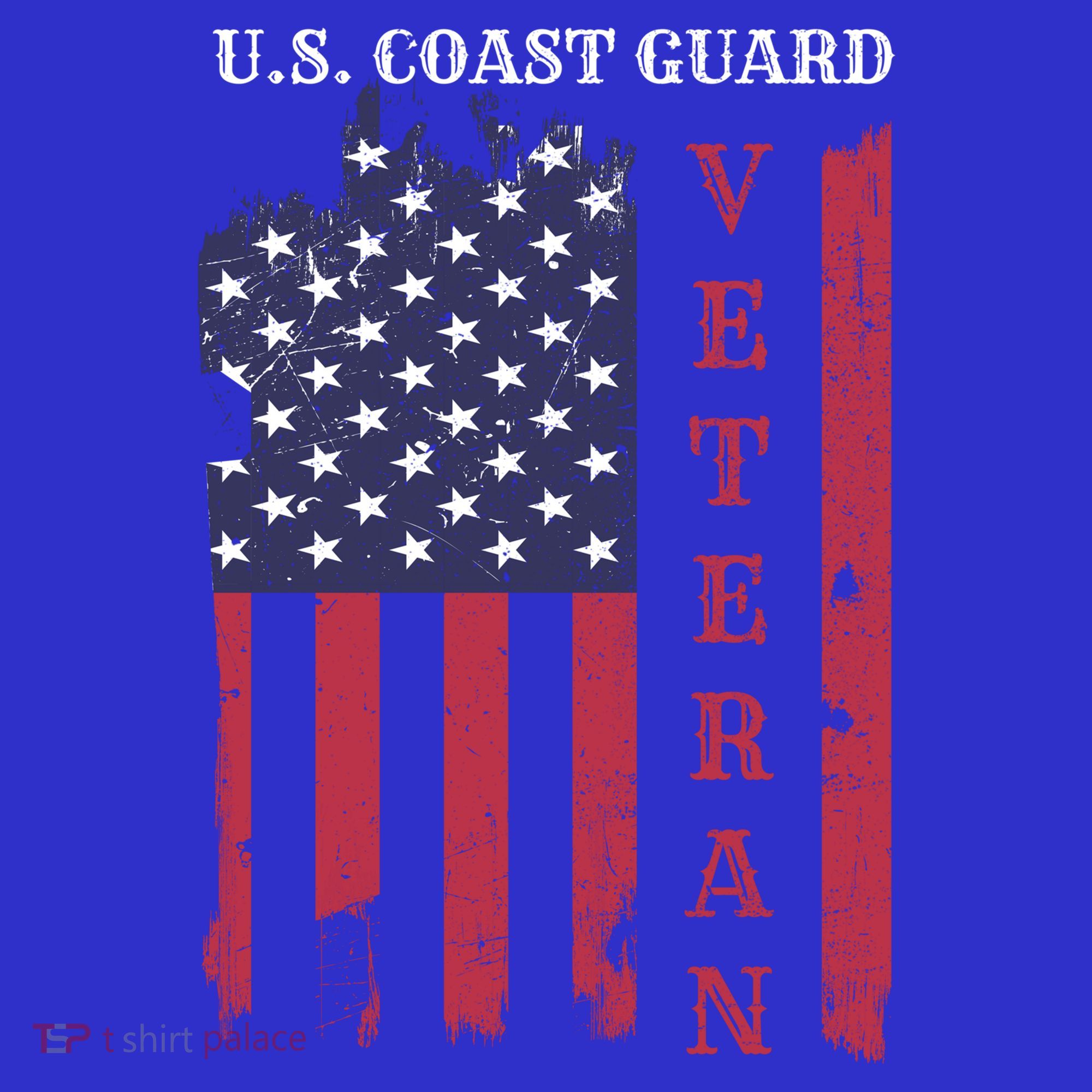 Us Coast Guard Veteran Appreciation Retiret Gift Long Sleeve Shirt