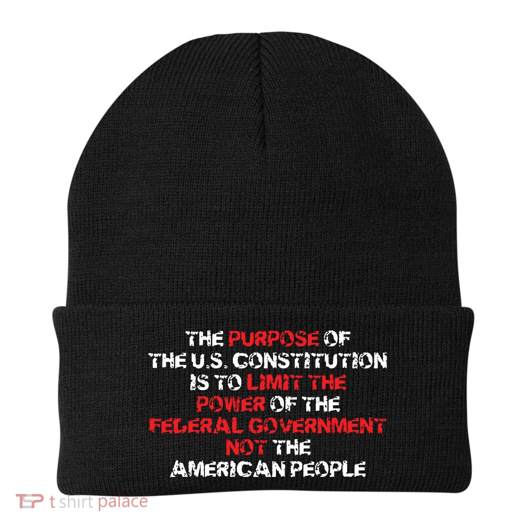US Constitution Gift Constitution Clarification Pro 2A Beanie