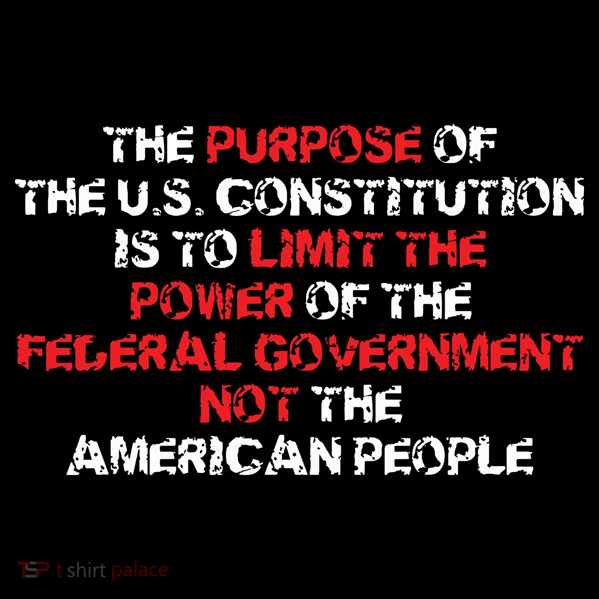 US Constitution Gift Constitution Clarification Pro 2A Ornament
