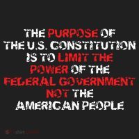 US Constitution Gift Constitution Clarification Pro 2A Hat thumb 2