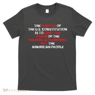 US Constitution Gift Constitution Clarification Pro 2A T-Shirt