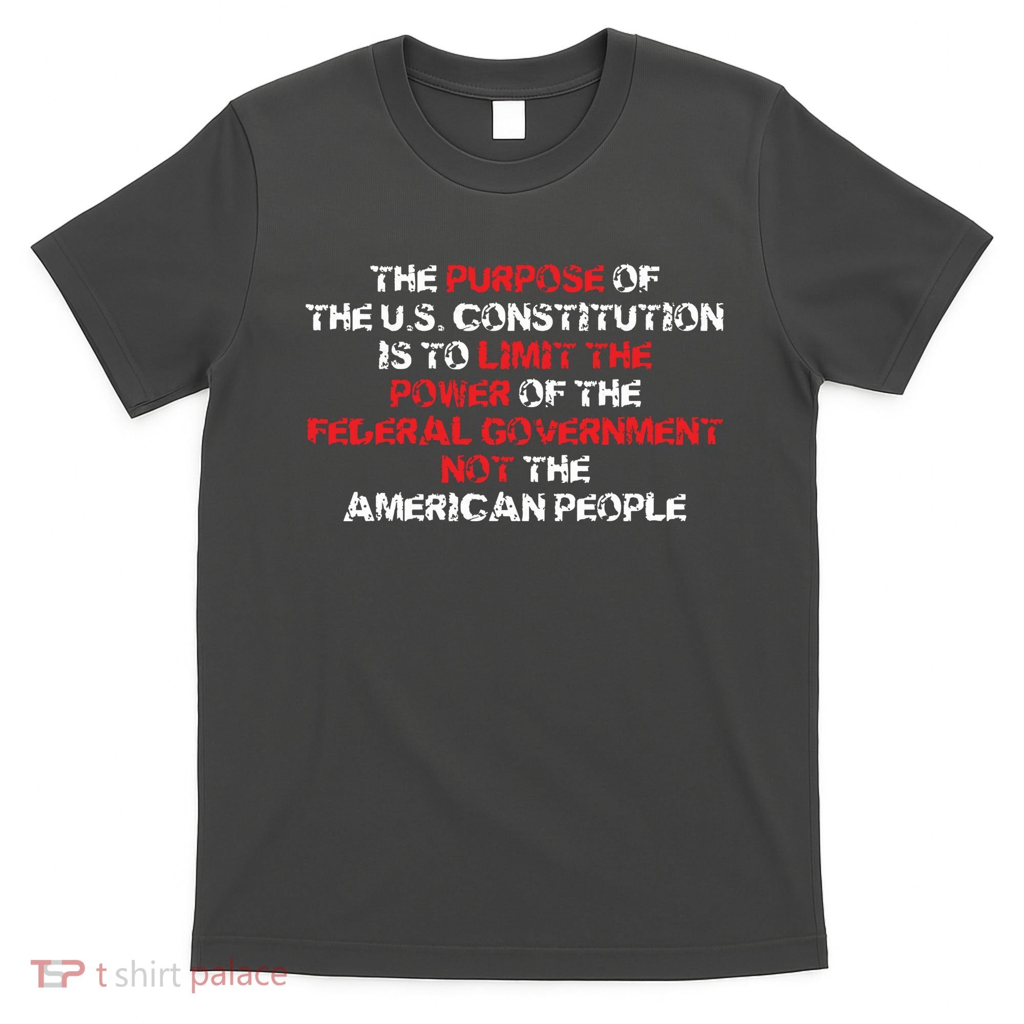 US Constitution Gift Constitution Clarification Pro 2A T-Shirt