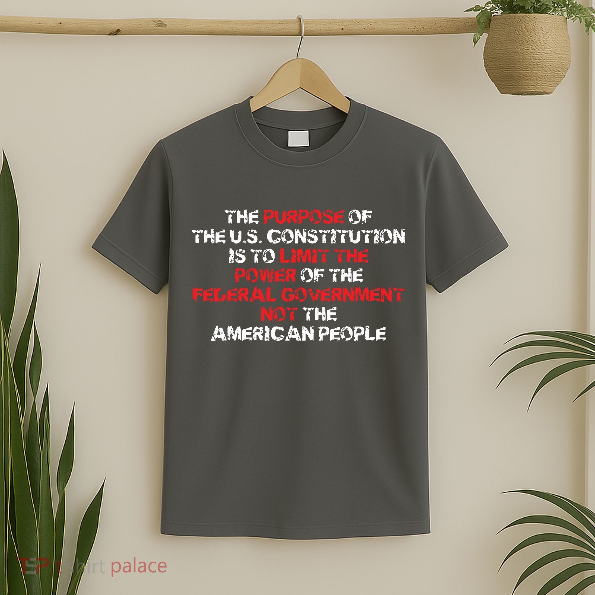 US Constitution Gift Constitution Clarification Pro 2A T-Shirt