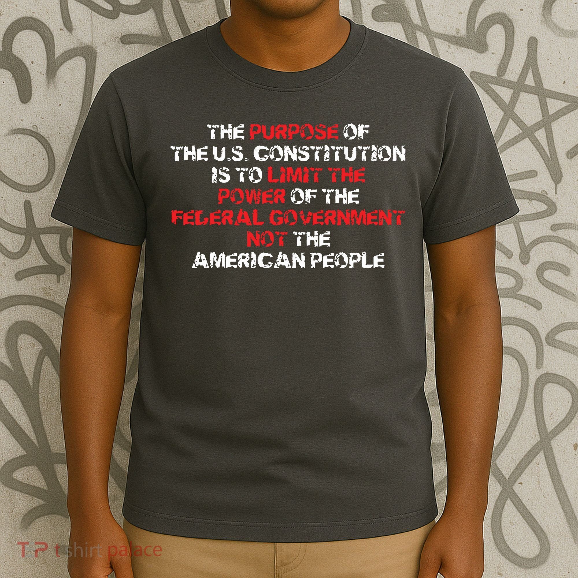 US Constitution Gift Constitution Clarification Pro 2A T-Shirt
