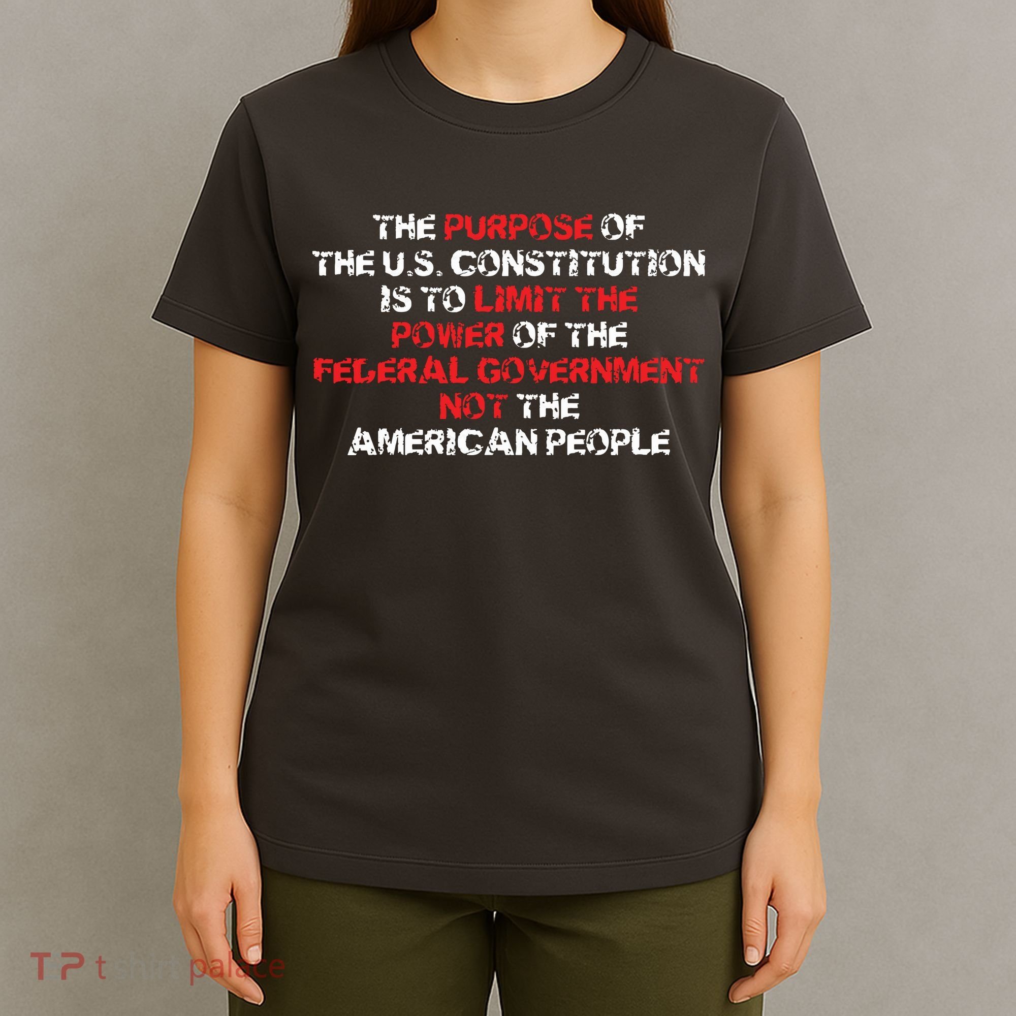 US Constitution Gift Constitution Clarification Pro 2A T-Shirt