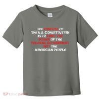 US Constitution Gift Constitution Clarification Pro 2A Toddler T-Shirt thumb 0