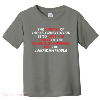 US Constitution Gift Constitution Clarification Pro 2A Toddler T-Shirt