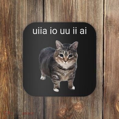 Uiia Cat I Wake Up I Engage In Tomfoolery Coaster