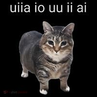 Uiia Cat I Wake Up I Engage In Tomfoolery Women's Hoodie thumb 2