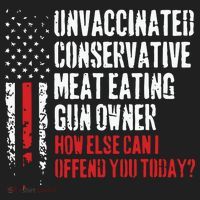 Unvaccinated Conservative Meat Eating Gun Owner How Else Cani Offend You Today Beanie thumb 2