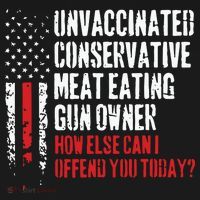 Unvaccinated Conservative Meat Eating Gun Owner How Else Cani Offend You Today Women's Hoodie thumb 2