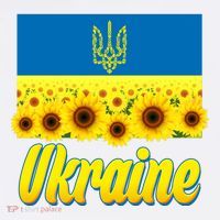Ukraine Coat Of Arms Flag Blue Sky Field Of Sunflowers T-Shirt thumb 7