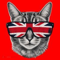 UK Cat Union Jack Flag United Kingdom Kitten England Santa Hat thumb 1