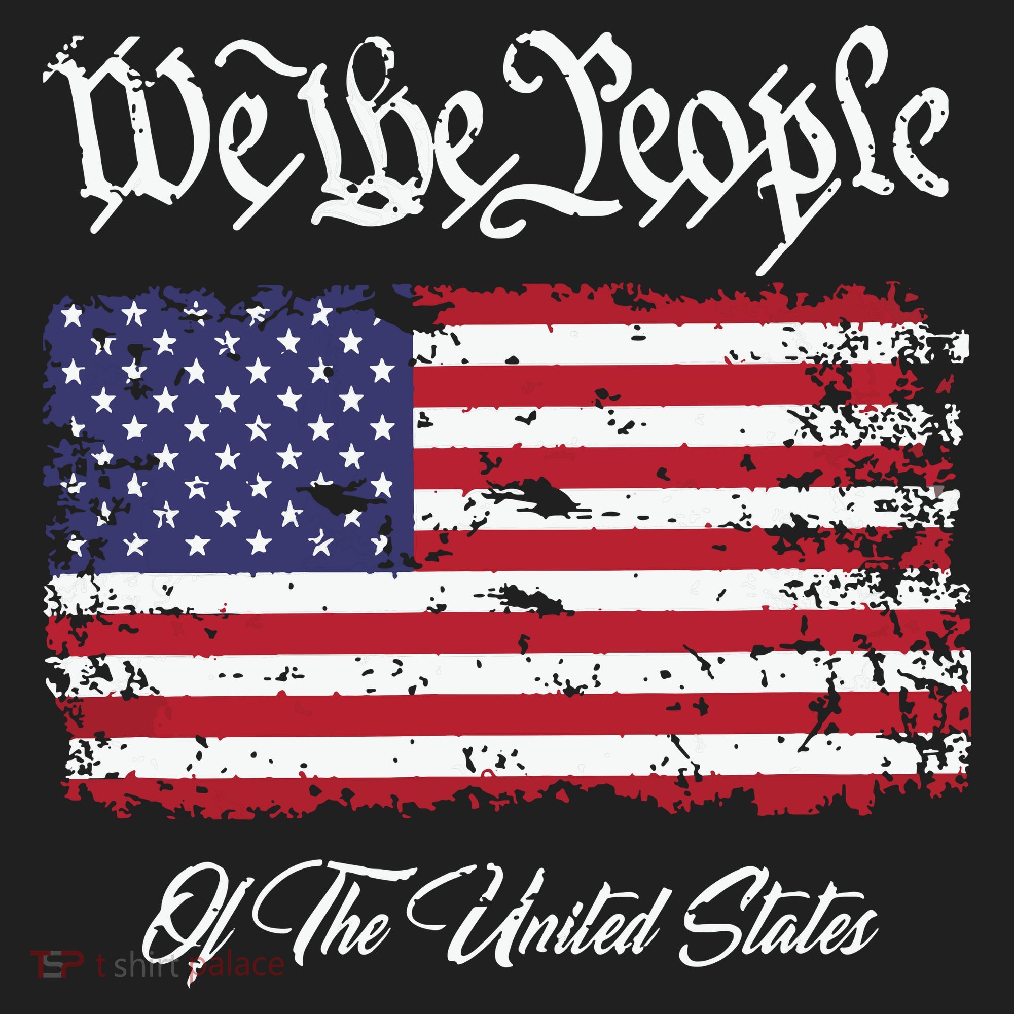US Constitution We The People With Distressed Flag Beanie