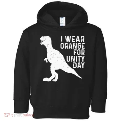 Unity Day Orange Unity Day Dinosaur Toddler Hoodie