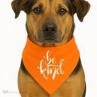 Unity Day Orange Be Kind Anti Bullying USA-Made Doggie Bandana thumb 1