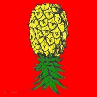 Upside Down Pineapple Gift Santa Hat thumb 1