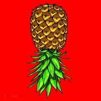 Upside Down Pineapple Gift Tropical Swinger Party Gift Santa Hat thumb 1
