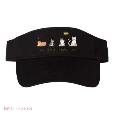 Visor