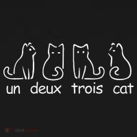 Un Deux Trois Cat Funny Ca Cat Lovers Cat Mom Women Sweatshirt thumb 3