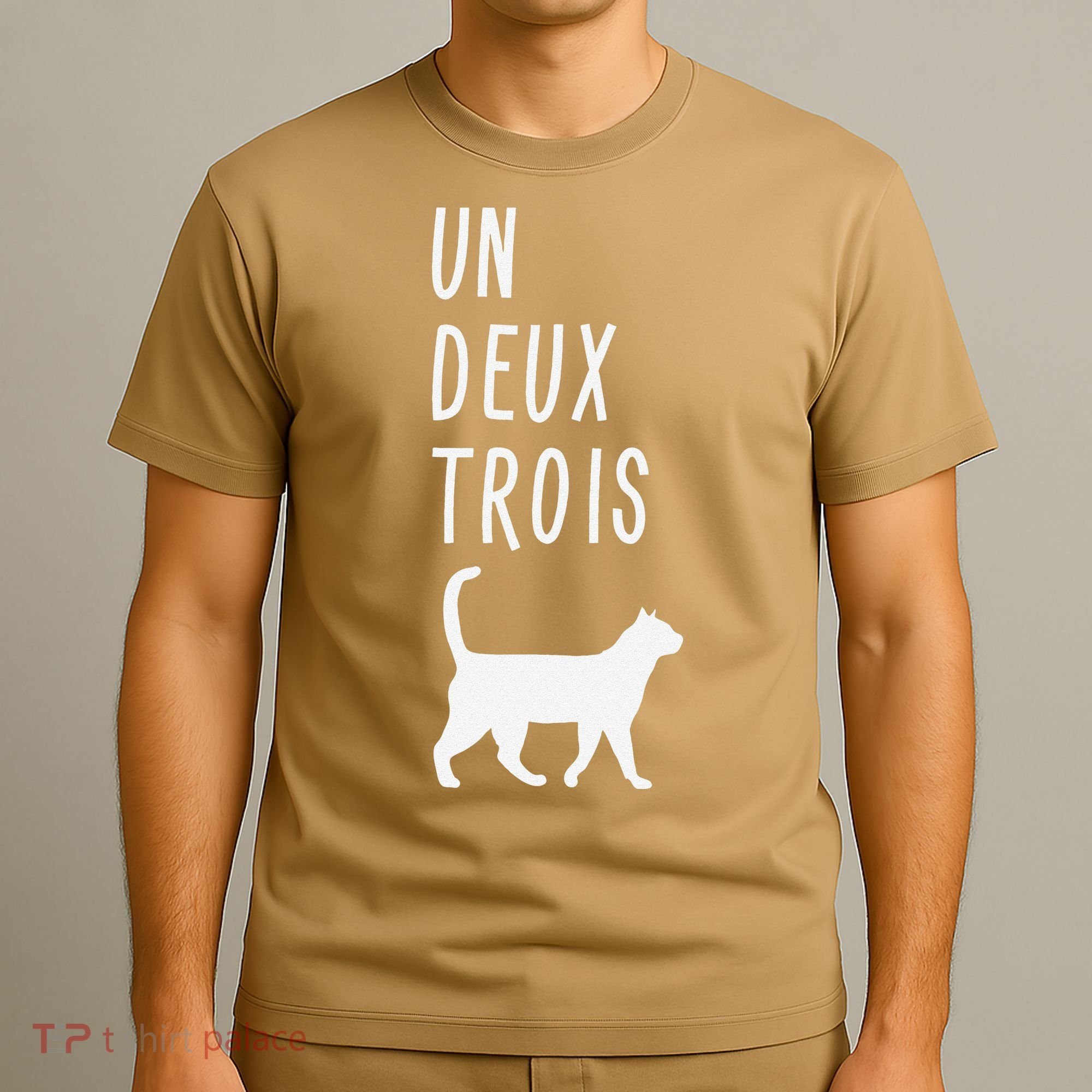 Un Deux Trois Cat Funny French Teacher Gift T-Shirt