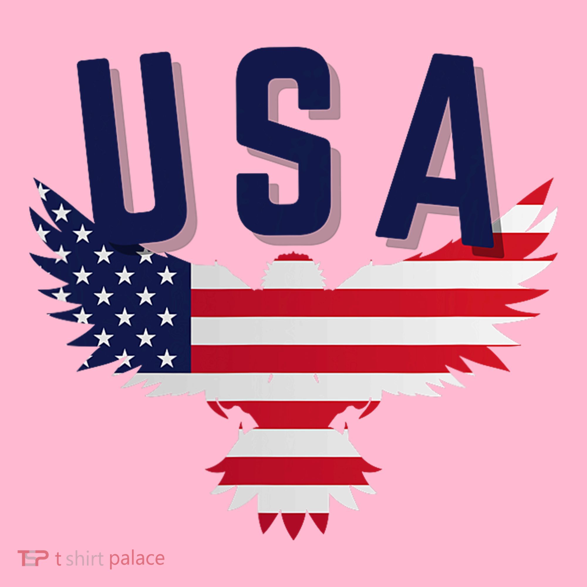 Usa Eagle 4th Of July Gift Casual American Coaster