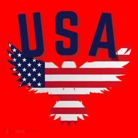 Usa Eagle 4th Of July Gift Casual American Santa Hat thumb 1